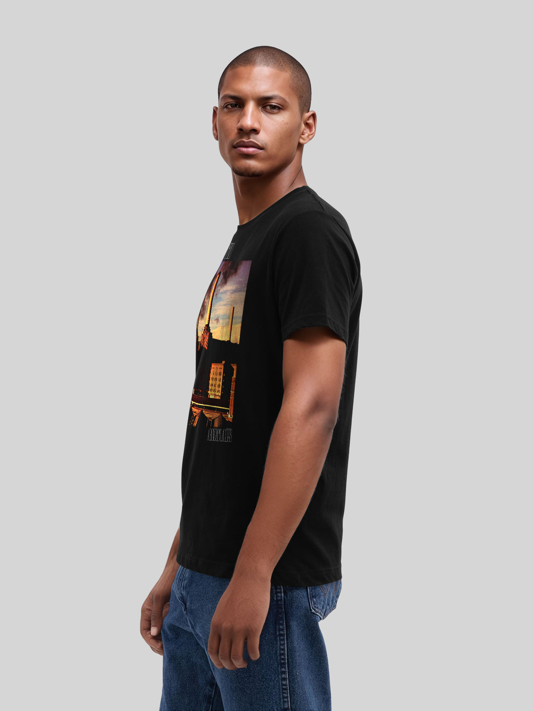 Pink Floyd Animal Cover Men's Organic T-Shirt