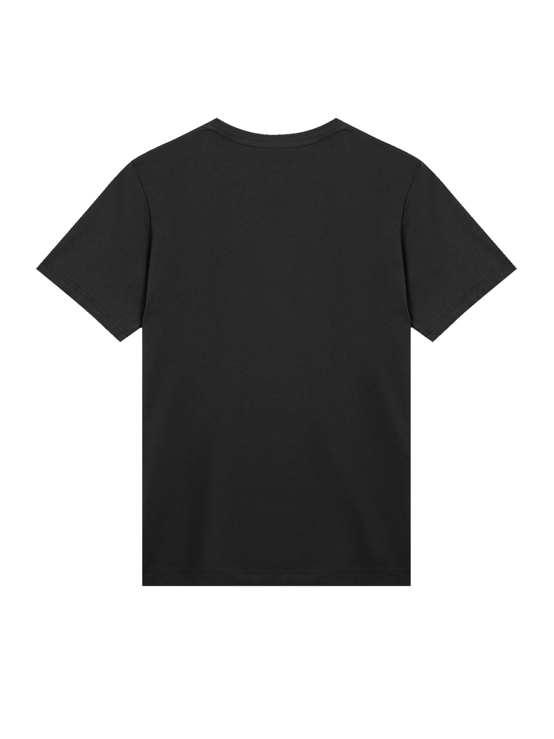 ACDC 1981 Live Tour with True Blanks | Mens Regular Tee