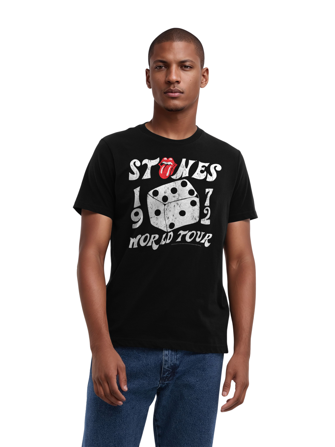 The Rolling Stones Dice Art Rock Music Band with True Blanks | Mens Regular Tee