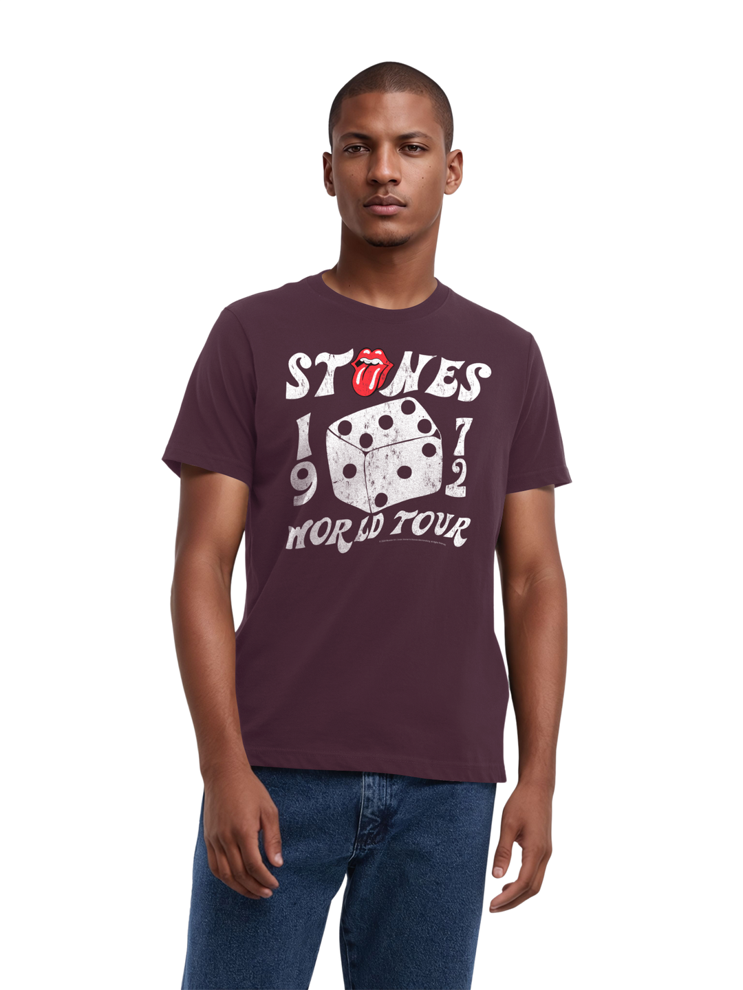 The Rolling Stones Dice Art Rock Music Band with True Blanks | Mens Regular Tee