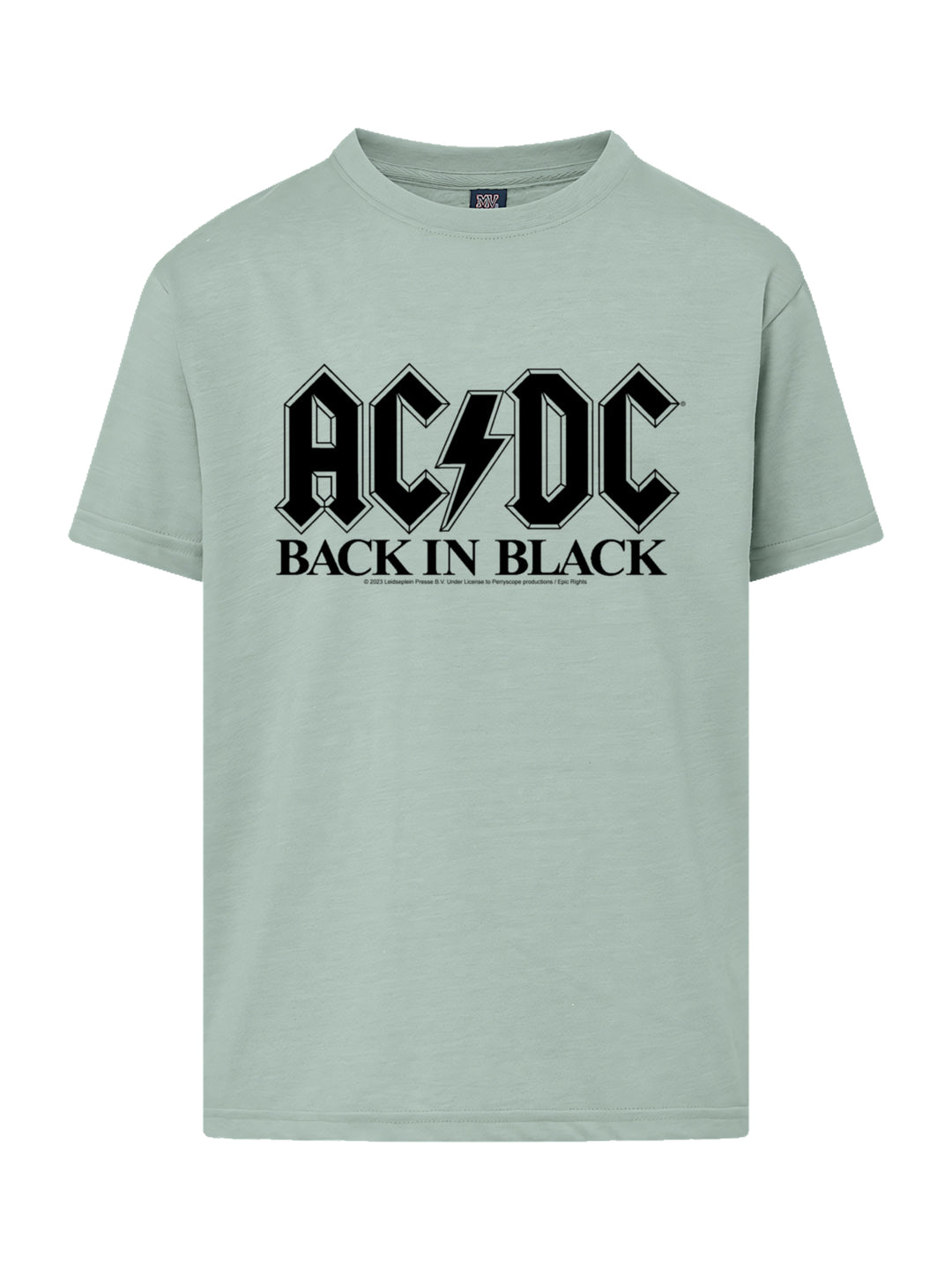 ACDC Back In Black Logo with Youth Buddy Tee