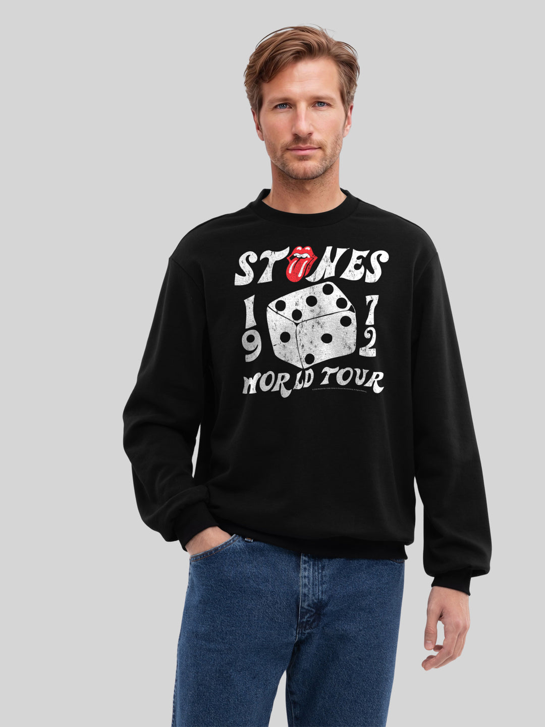 The Rolling Stones Dice Art Rock Music Band and The Rolling Stones with True Blanks | Mens Regular Sweater
