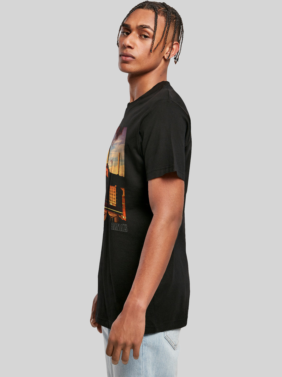 Pink Floyd Animal Cover Men's T-Shirt